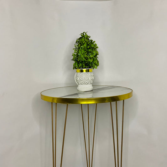 Artificial Mini Tree with Golden Collar Pot small table vase guldan for Home, Kitchen and Office Decor
