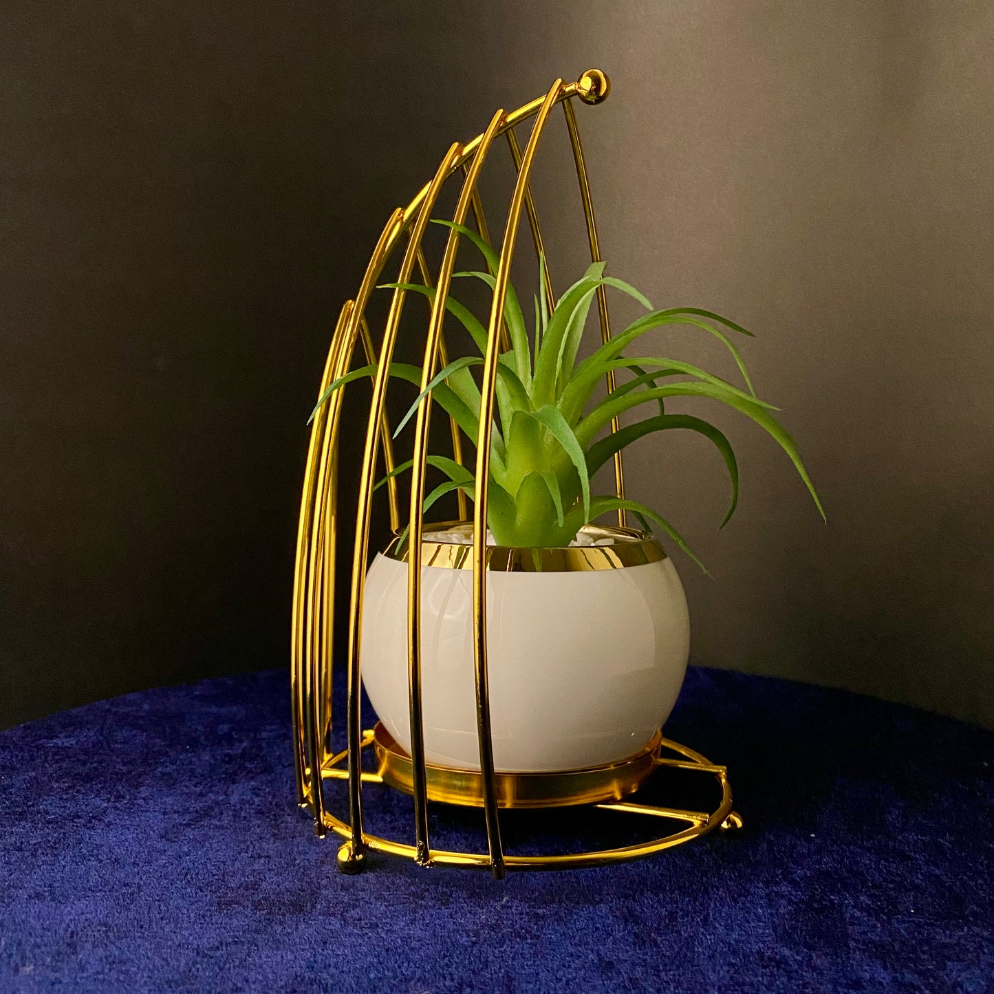 Premium Ceramic Artificial Succulent Plants with Golden Stand Modern Style Planter Artificial Plant for Living Room, Dinning Room, Office desk, Home