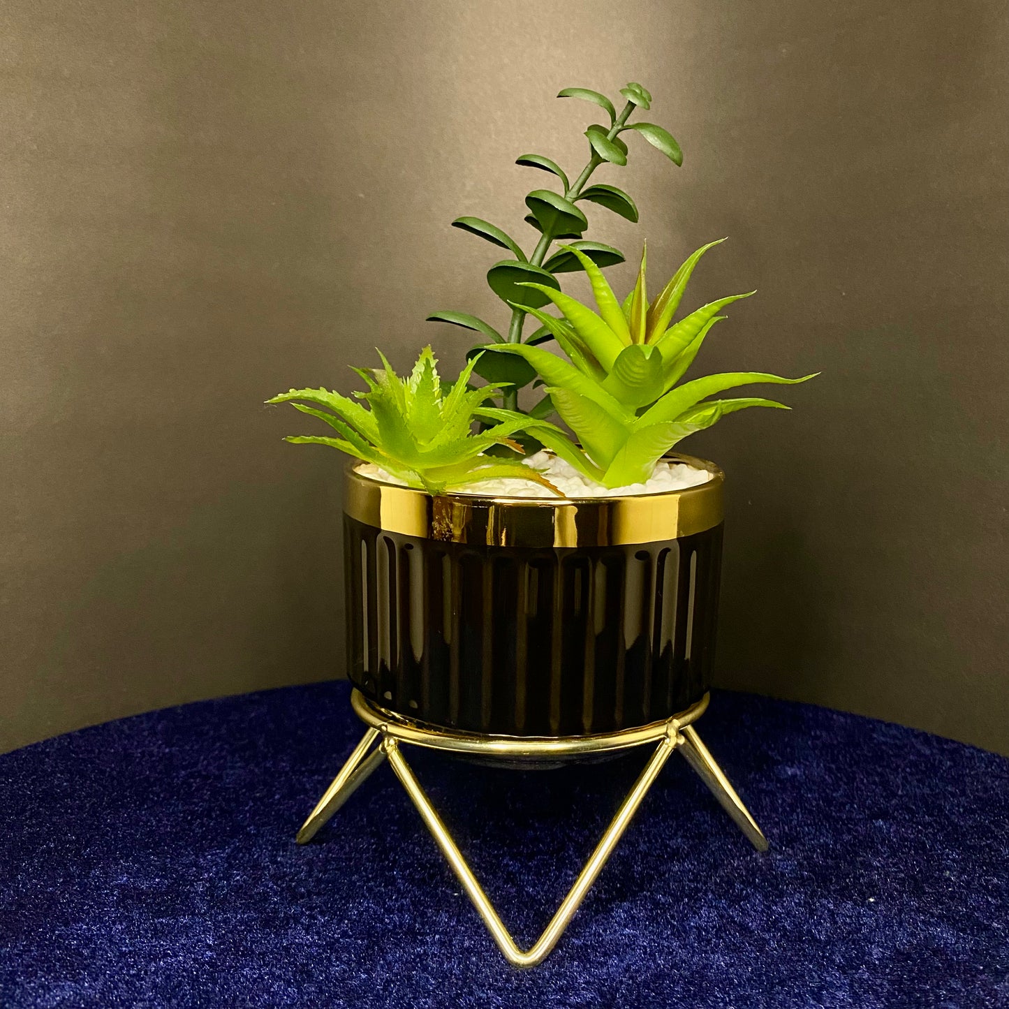 Black with Golden Collar Ceramic Artificial Succulent Plants with Golden Stand Modern Style Planter Artificial Plant with Pot