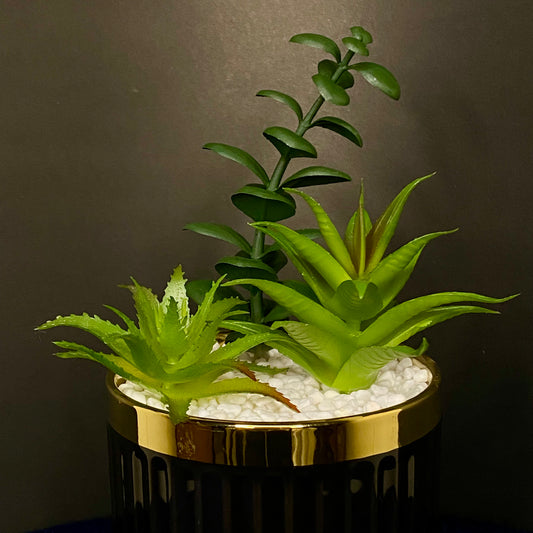 Black with Golden Collar Ceramic Artificial Succulent Plants with Golden Stand Modern Style Planter Artificial Plant with Pot