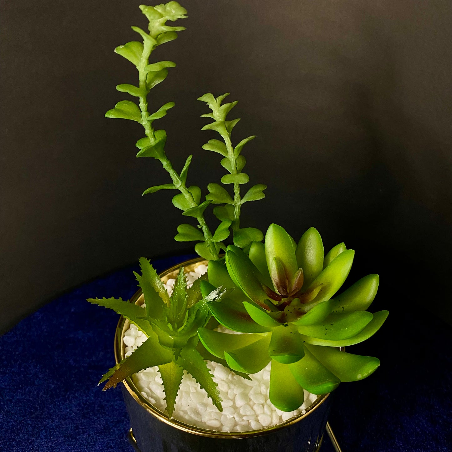 Ceramic Artificial Succulent Plants with Golden Stand Modern Style Planter Artificial Plant with Pot